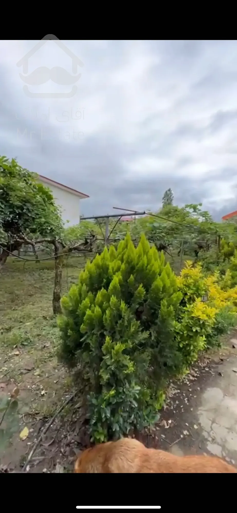 زمین ۴۵۰۰ متر بهترین لوکیشن تنکابن