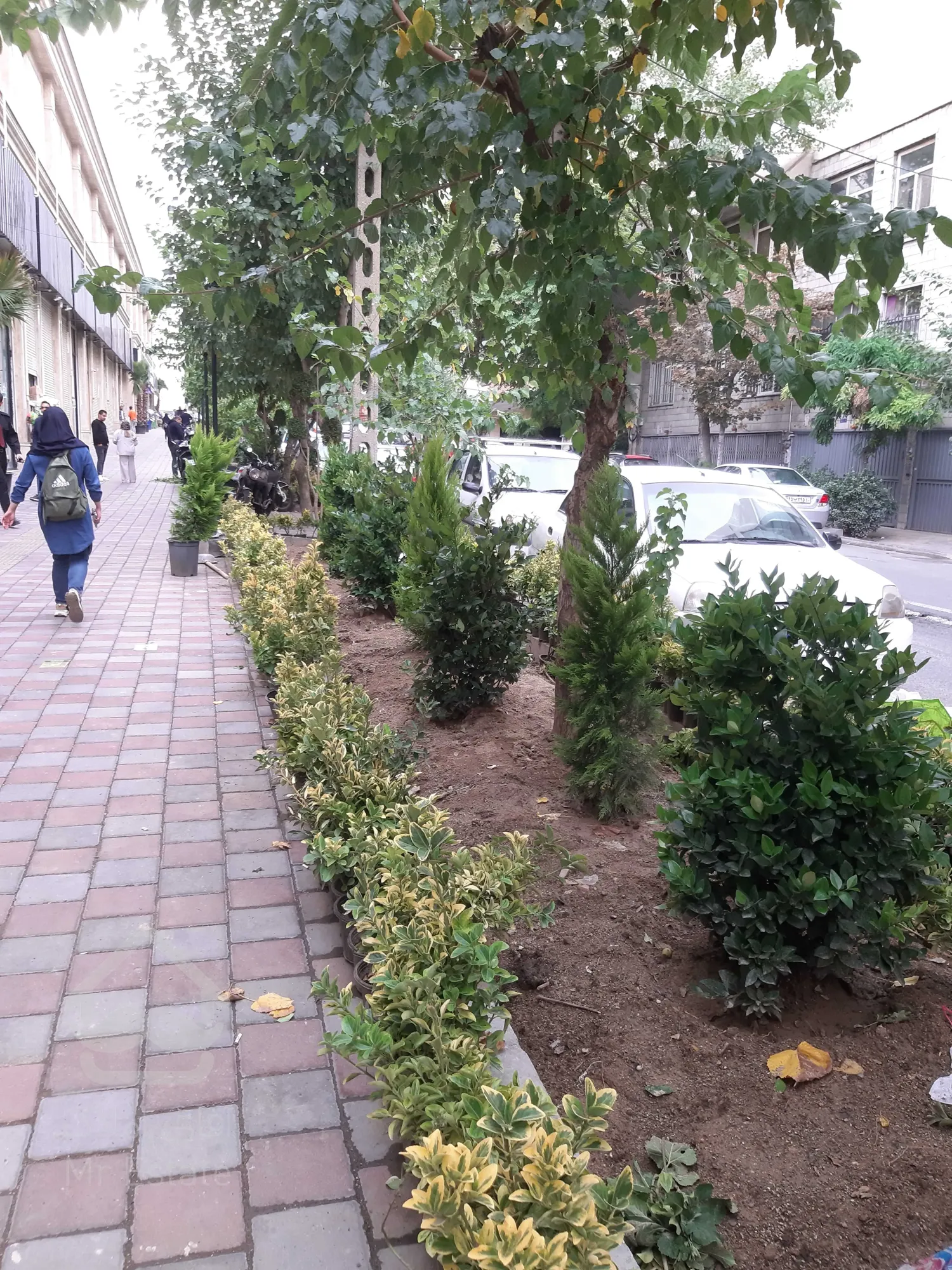 خرید و اجاره واحد های تجاری در رونیکامال هروی/بصورت اقساط 12ماهه/سند تک برگ تجاری