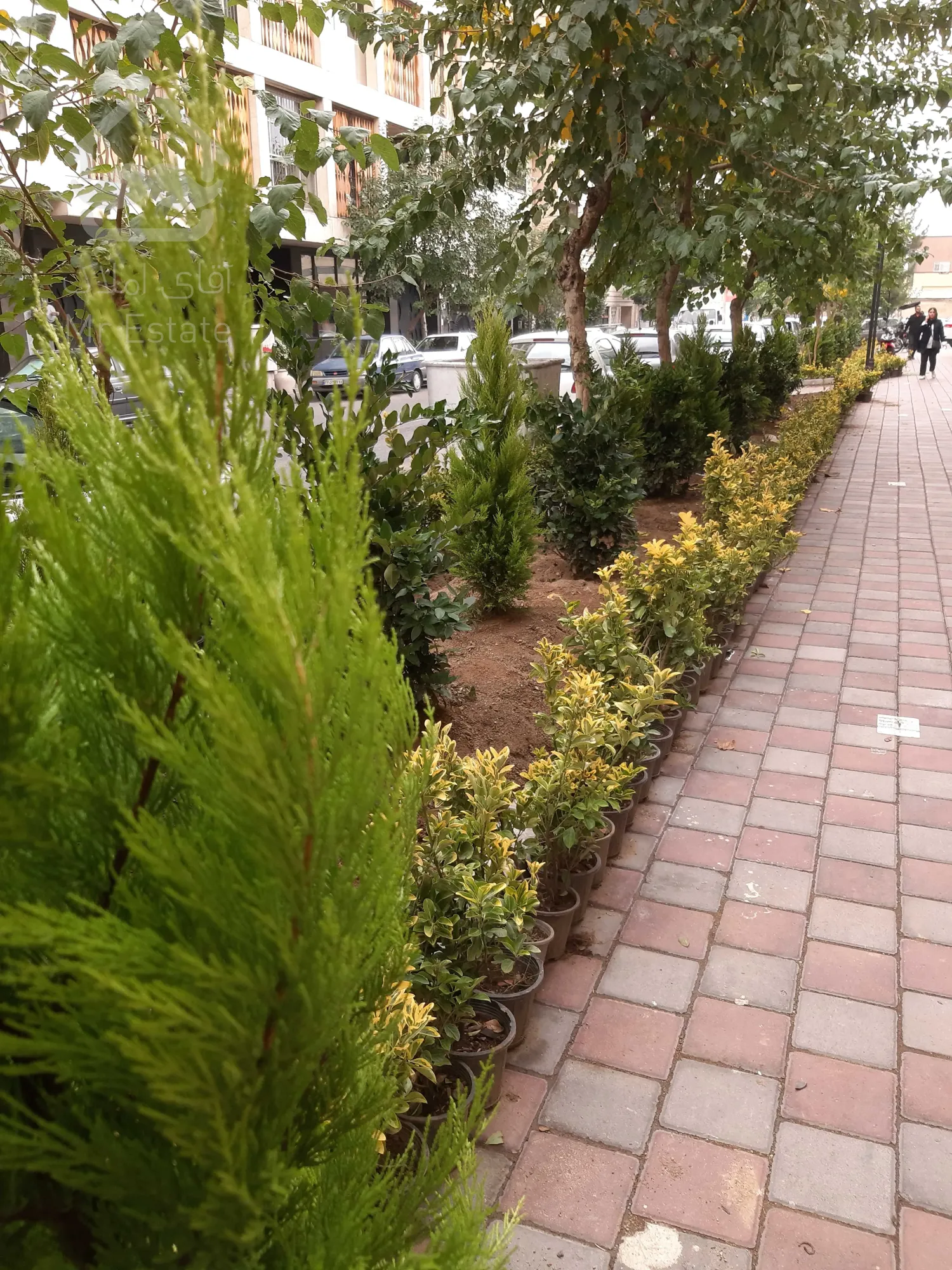 اجاره مغازه در رونیکا مال هروی با شرایط بینظیر