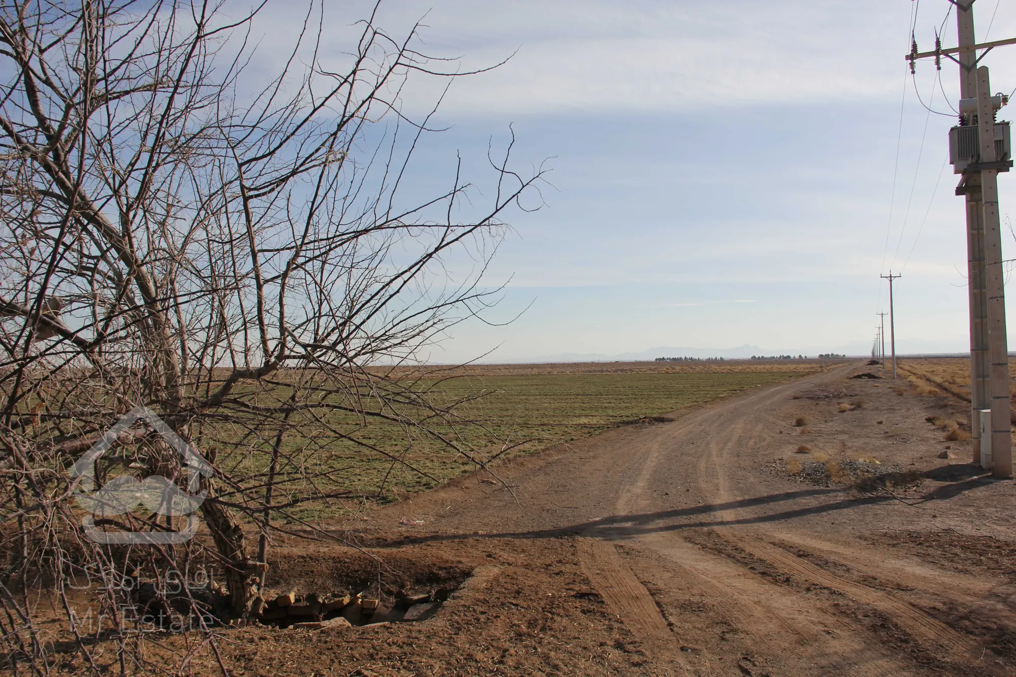 آینده را اکنون خریداری کنید