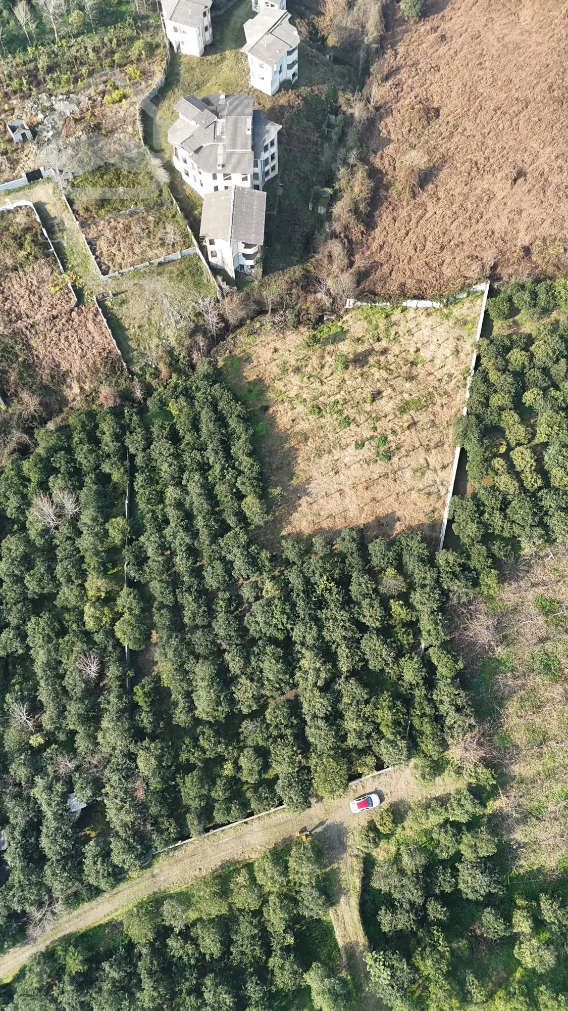 فروش زمین ۴۰۰۰ متری باغ مرکبات تنکابن