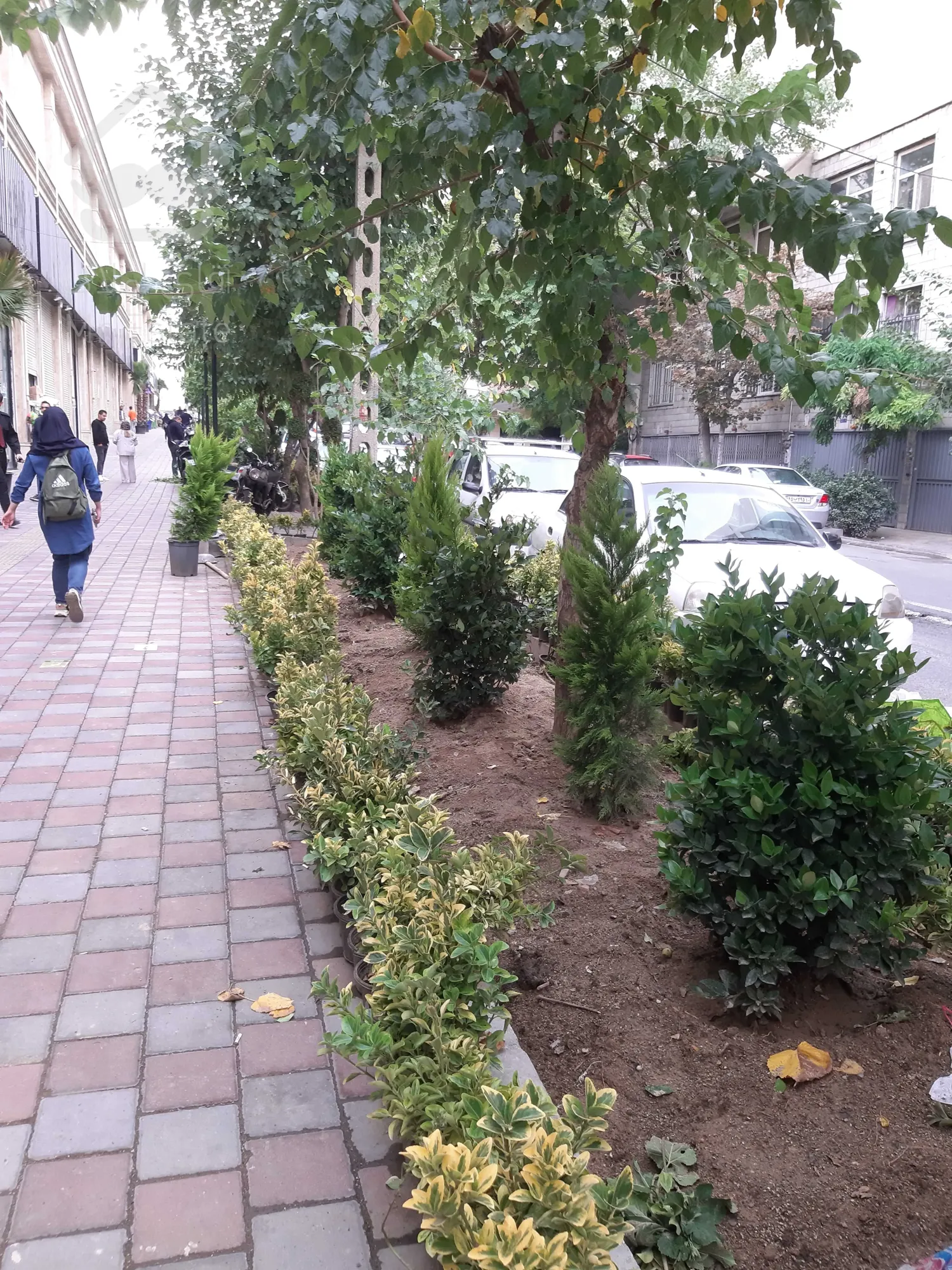 فروش تجاری در رونیکامال هروی/37متر با موقعیت عالی