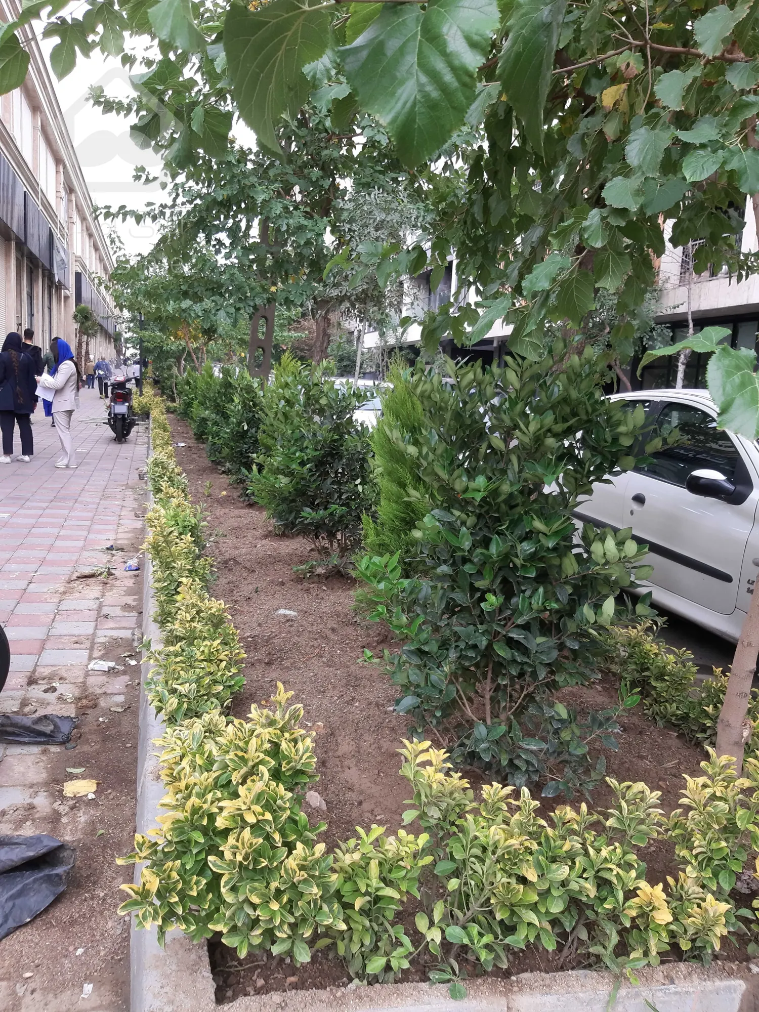 اجاره مغازه 19 متر با شرایط بی نظیر در رونیکا مال هروی