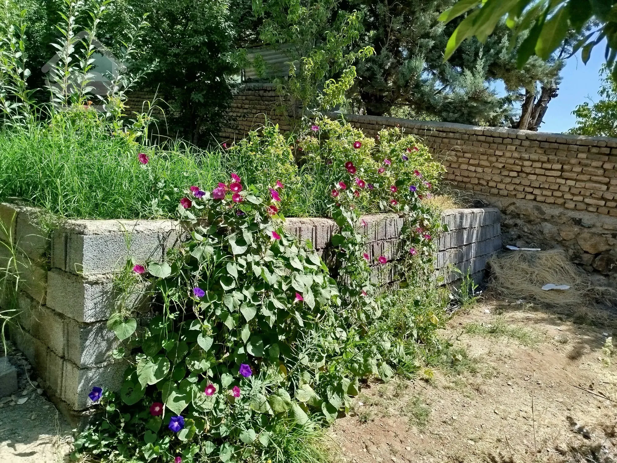 فروش باغچه دماوند