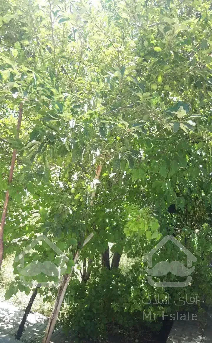 اجاره خانه باغ ویلایی در منطقه گردشگری لاله زار