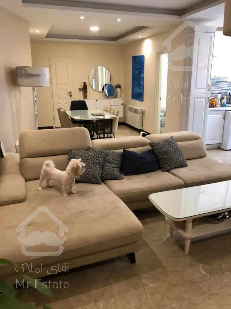 ۵۵ متر //  ۳ ساله  //  خوش نقشه