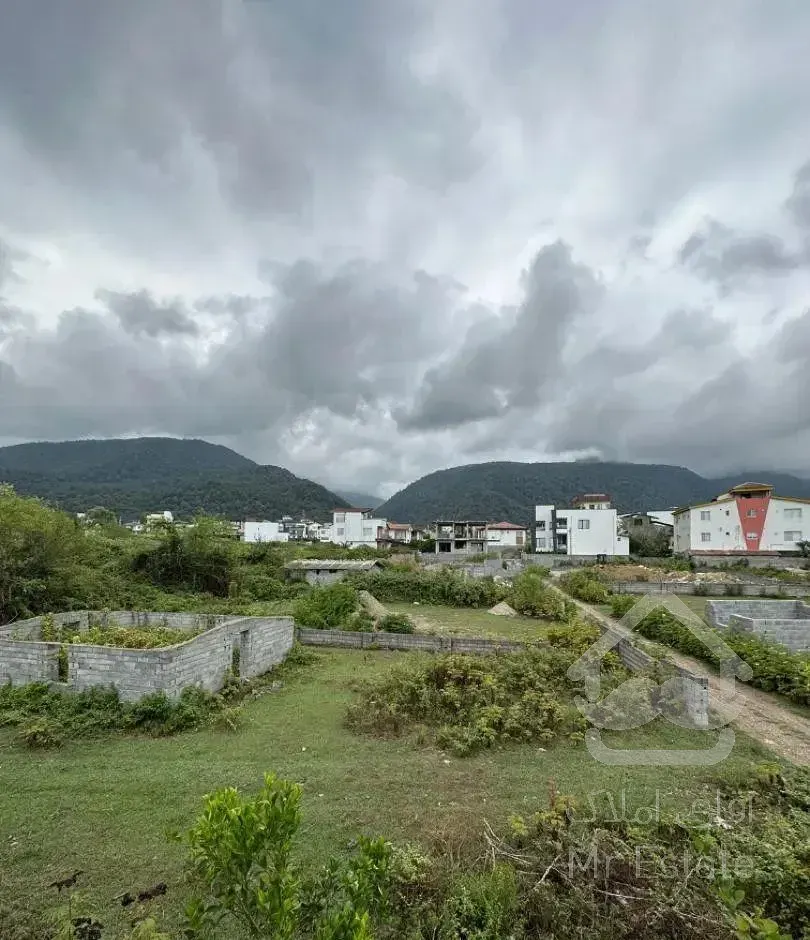 سیسنگان آویدر سند دار ویو جنگل