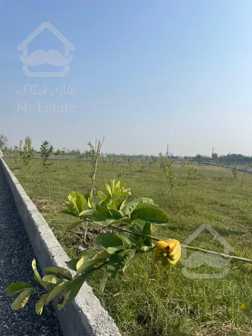 فروش 460متر باغ. شهرکی. پلاک 2 جاده سرخرود. انشعابات نصب