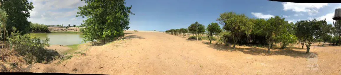 زمین واقع در فرح اباد ساری