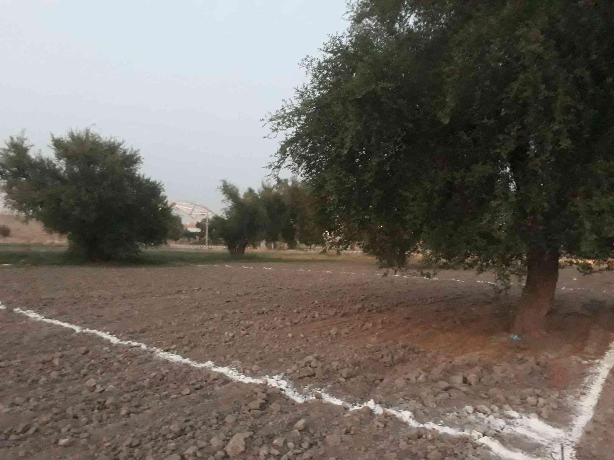 ۱۰۰۰متر زمین کشاورزی بفروش میرسد.