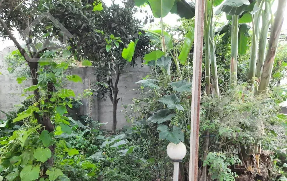 ویلا اجاره بین آمل ومحمود آباد