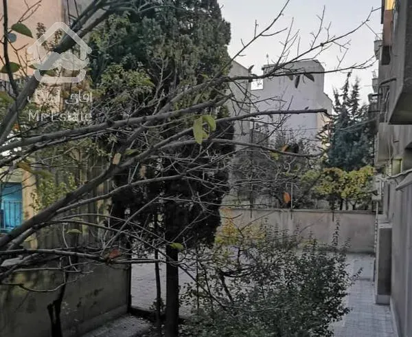 چیذر/بهمن پور/86متر