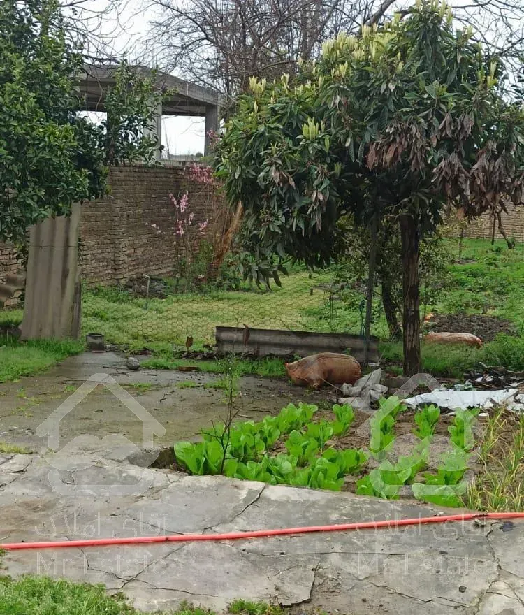 اجاره  و هفتگی ویلا حیاط دار آمل