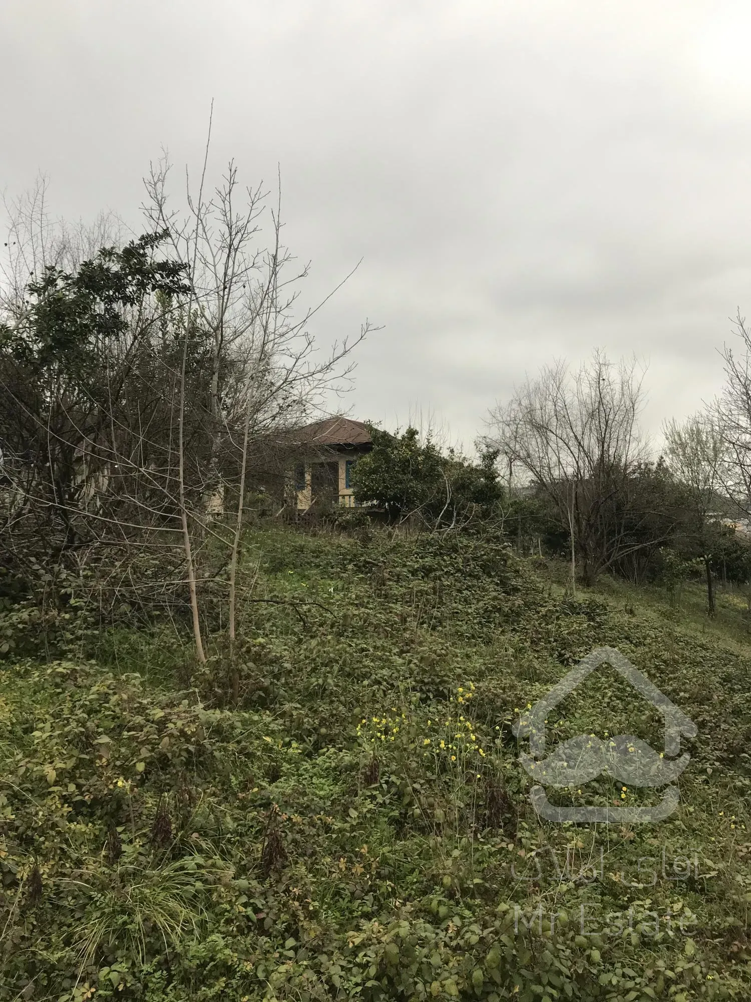 زمین مسکونی، استان مازندران، شهر شیرگاه