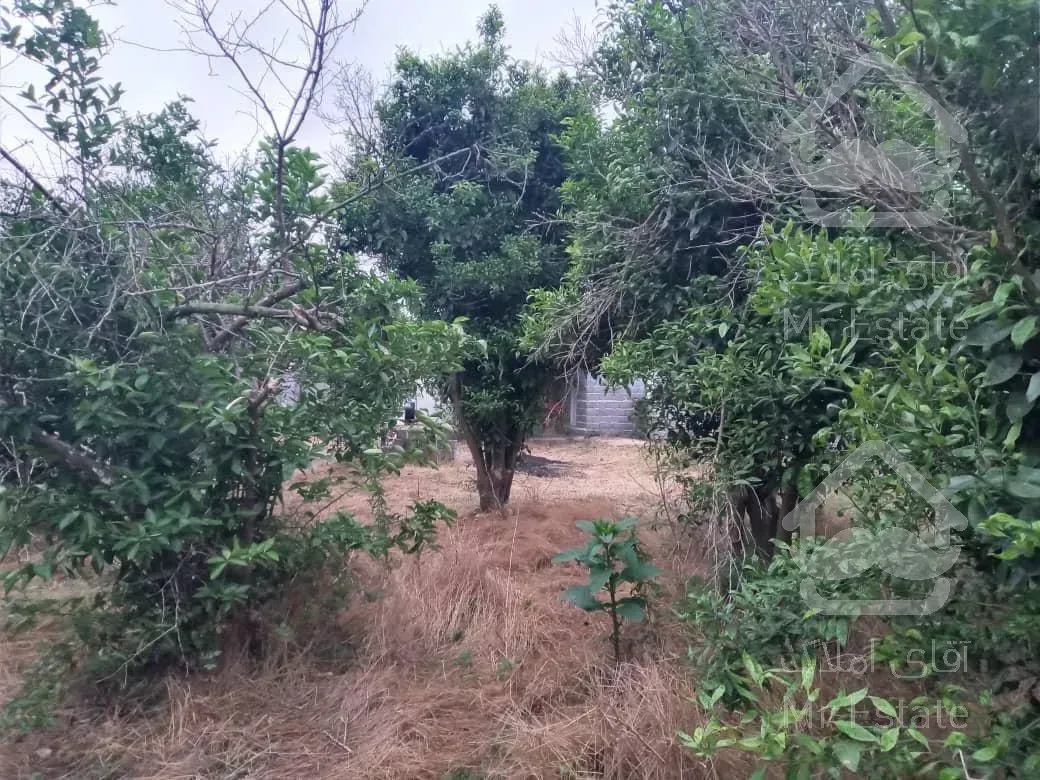 زمین مسکونی/دارای سند تک برگ