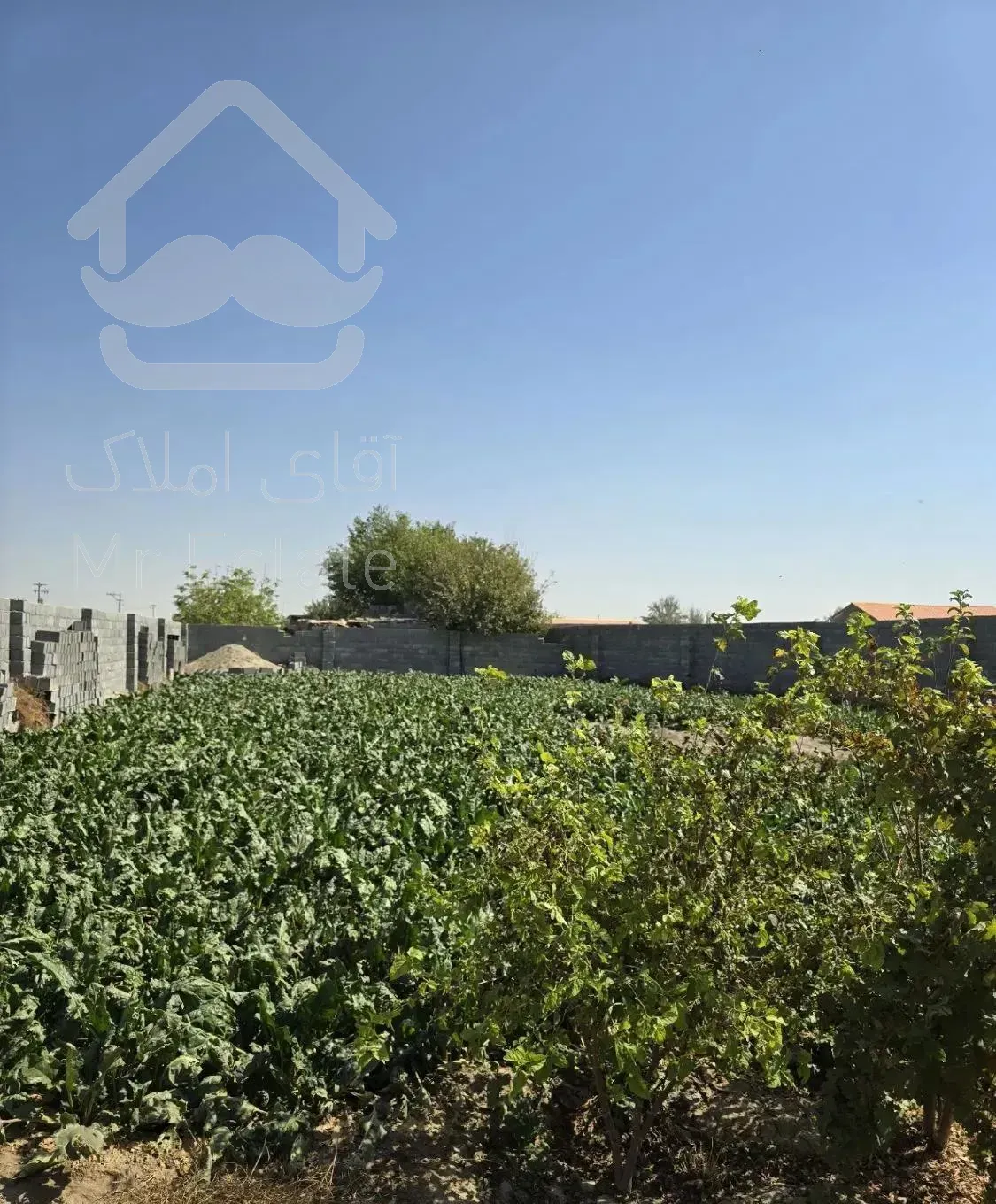 ۶۰۰متر چهاردیواری با آب و برق صحرابالا تیمیارت