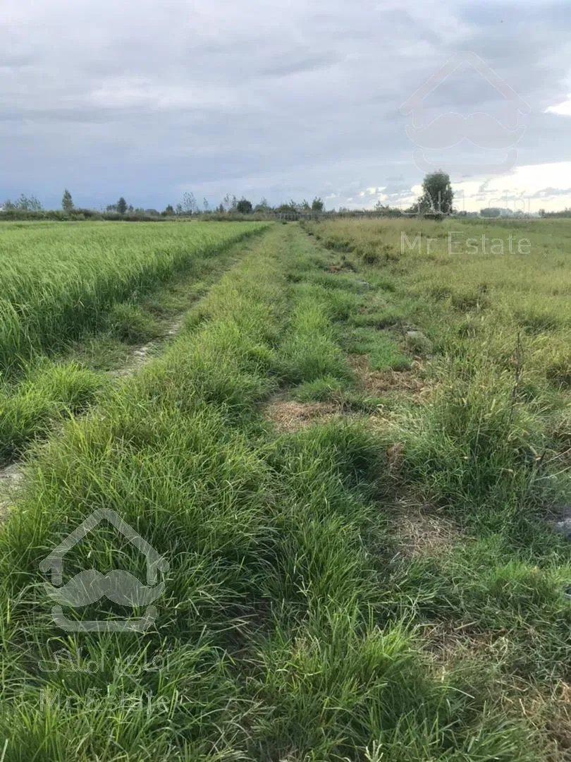زمين ٣٠٠ متري مناسب براي سرمايه گذاري