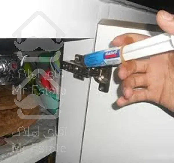 ریشه کنی سوسک بدون سم و سمپاشی