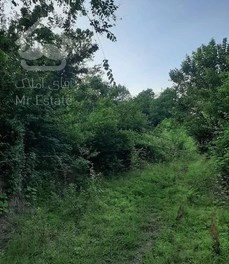 فروش زمین ۳۱۰ متری در بهشت گم شده مرادهنده