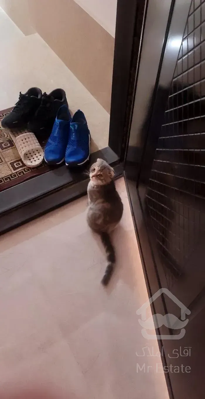 فروش و معاوضه باماشین واحد۵۵متری