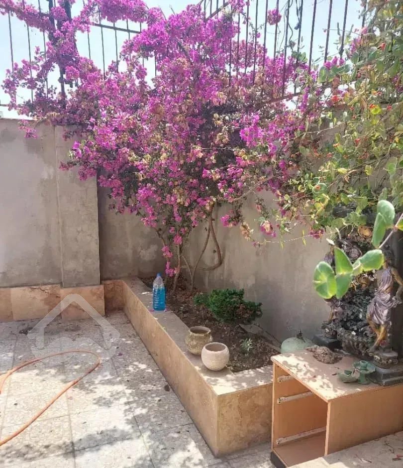 اجاره همکف با قیمت مناسب