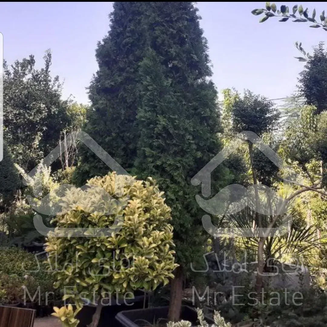 انواع گل و گیاه به قیمت عمده