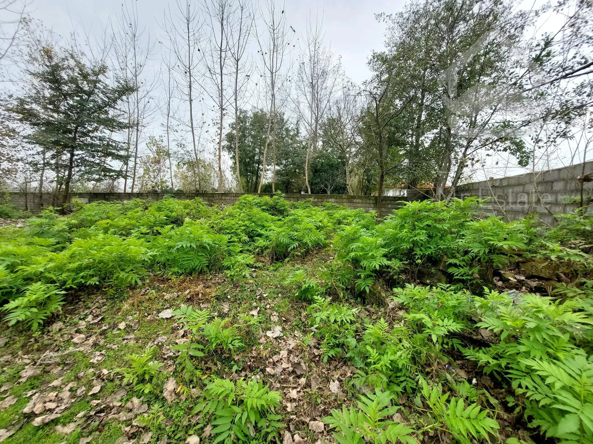 فروش زمین تمام مسکونی 1000متر گیلان سنگر