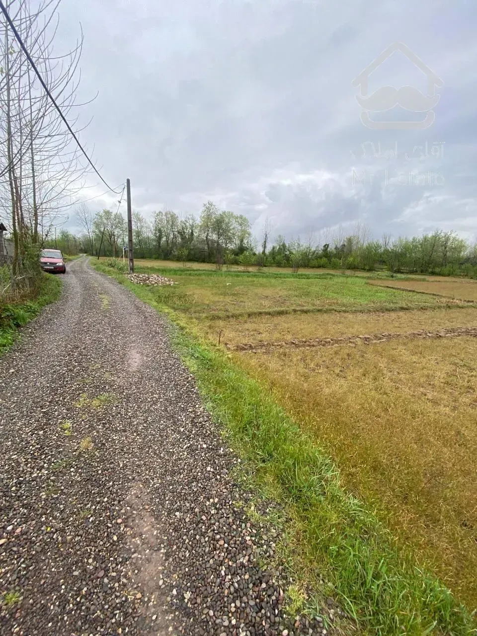 ۳۰۰۰متر زمین شالی و مسکونی در کوچصفهان