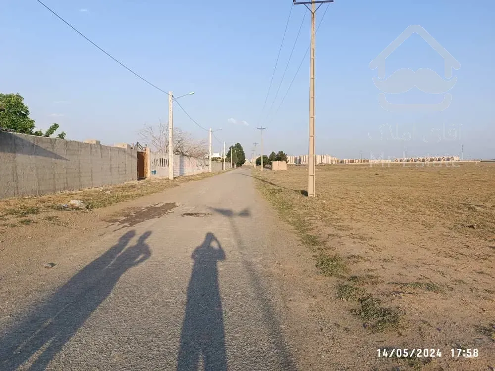 باغچه چسب اسب دوانی