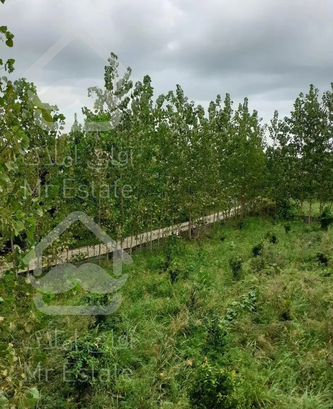 ویلا با استخر اب داع ۴ خواب با چشم انداز زیبا