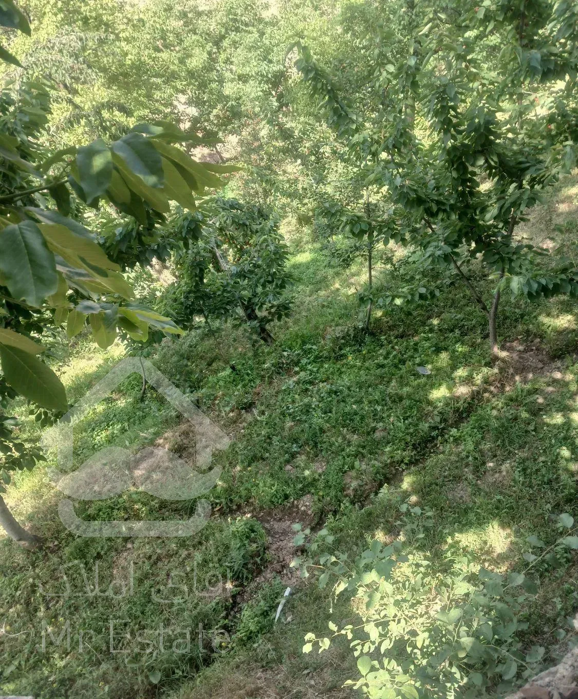 ویلاباغ درمیگون خیابان اهنگرک