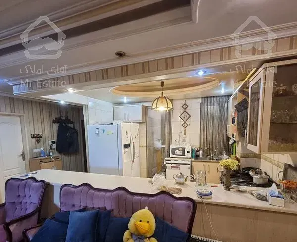 آپارتمان ۸۱ متری پونک،عدل