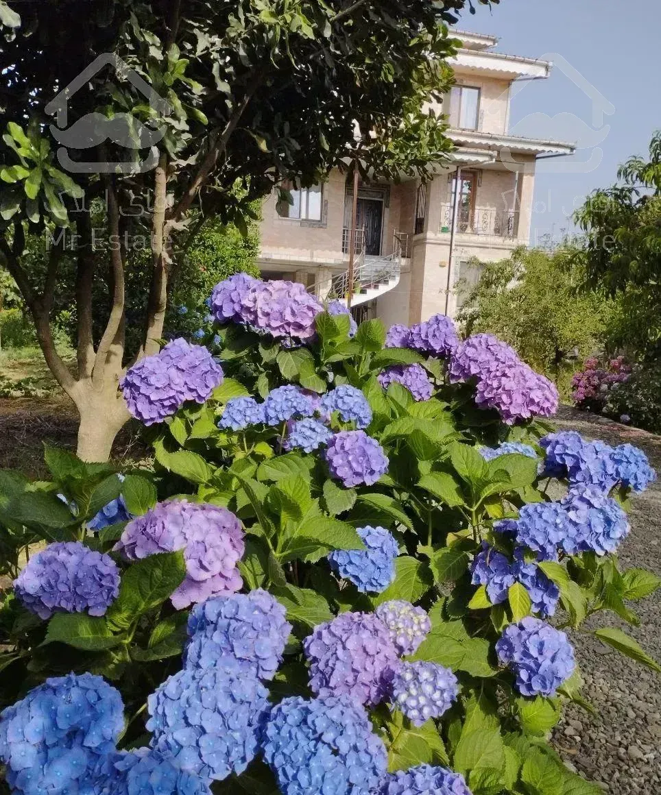 ویلا باغ یک خوابه محوطه باکلاس