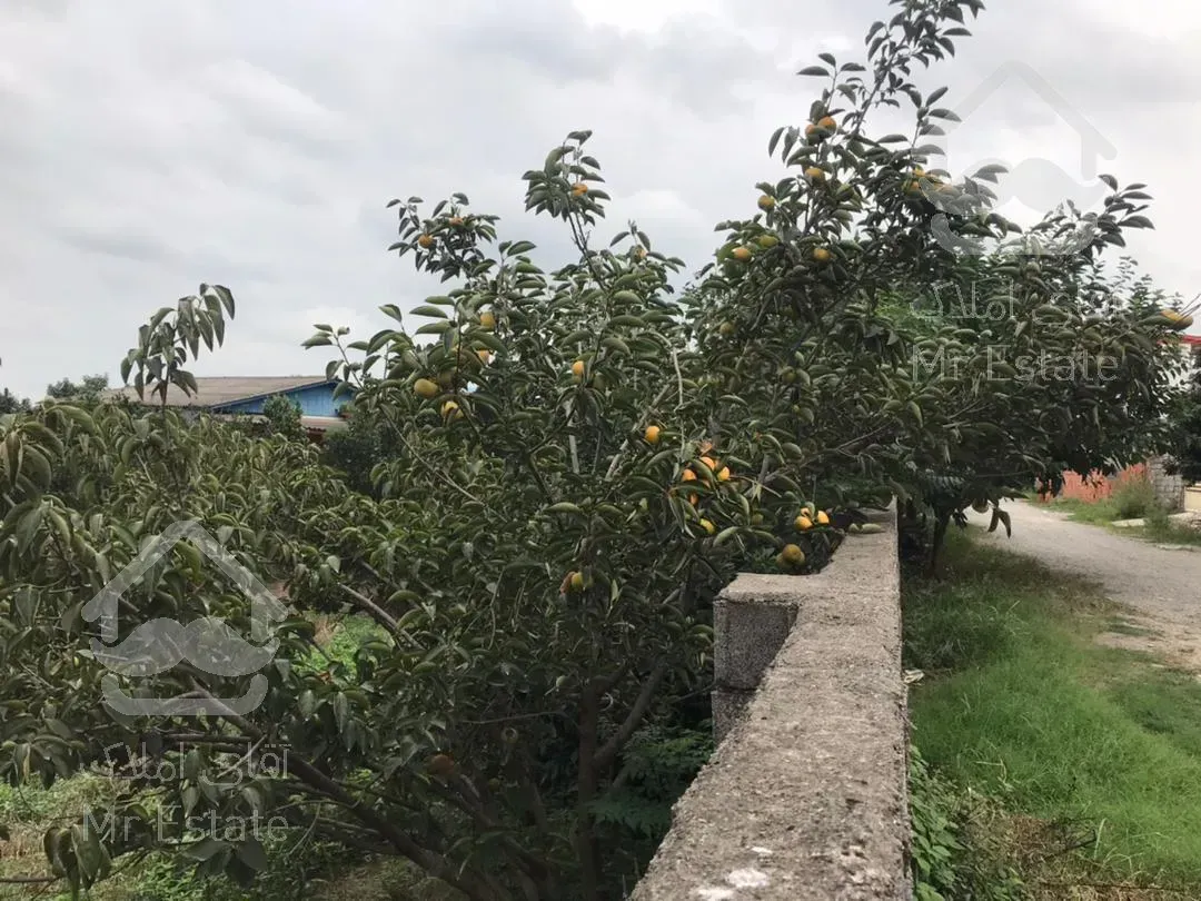 باغ 500مترمربع. محصور. غیربومی. قابل ساخت