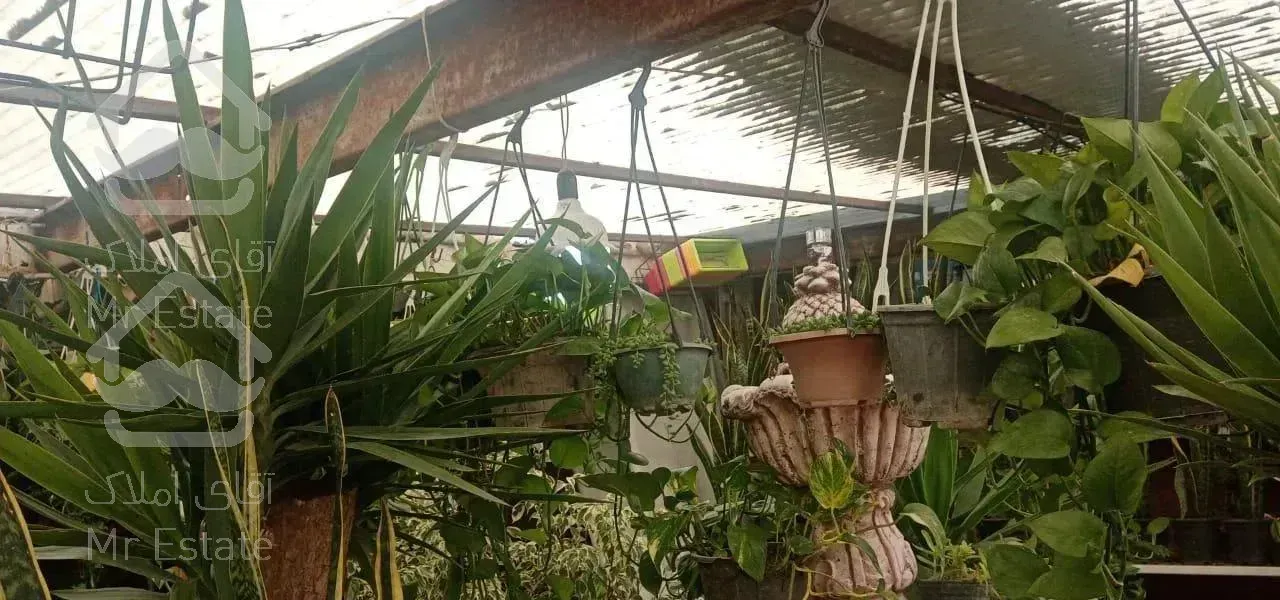 گل خونه ۲۵ متر