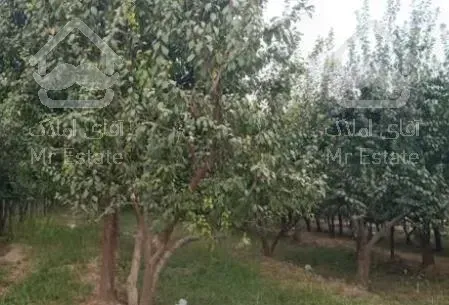 زمین و باغ 360 متری