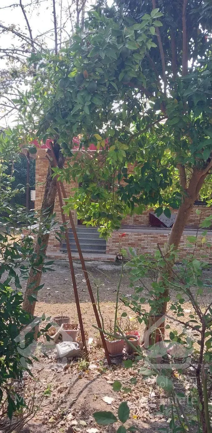 اجاره روزانه ویلا نزدیک به دریا