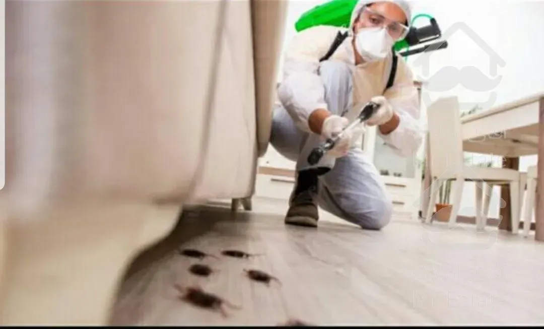 سمپاشی جهت از بین بردن حشرات مزاحم مانند ساس کنه و مایت و...