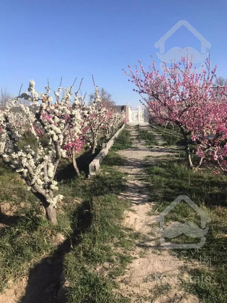 باغ 800 متری شهریار