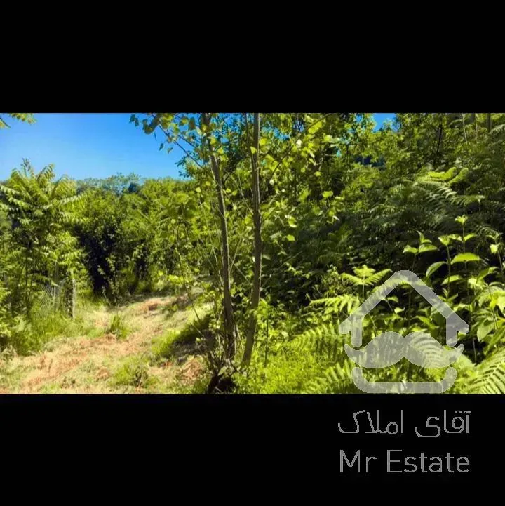 زمین زراعی مسکونی ۲۷۰۰ متری نزدیک دریا