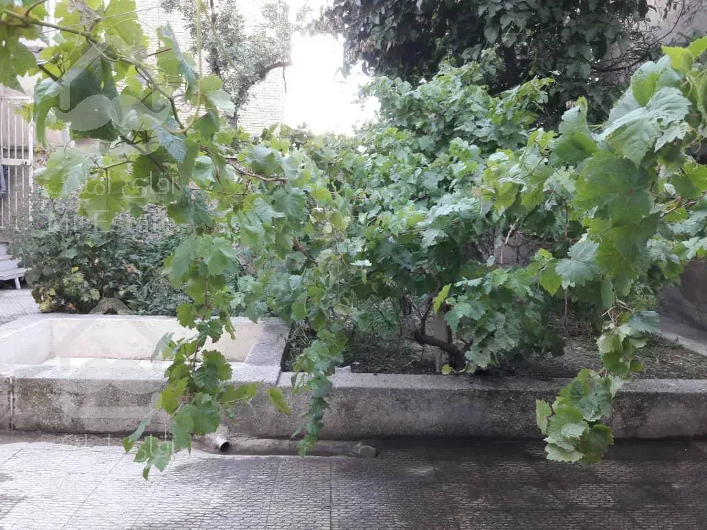 خانه دربست ویلایی حیاط دار ۲۶۰ متر/طرشت شمالی