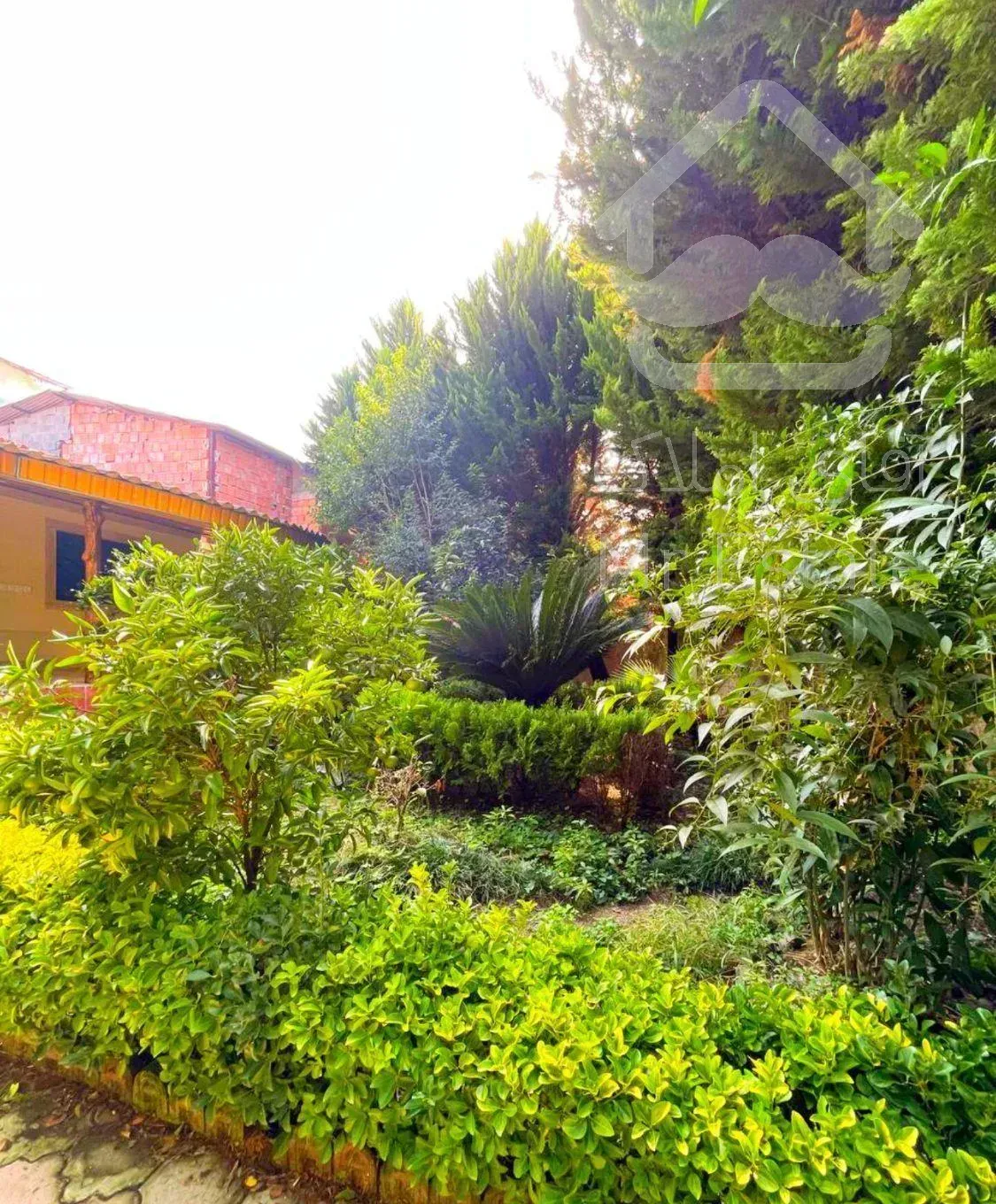 ویلاباغ290متری مشجر شهرکی محموداباد