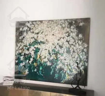 آپارتمان صاحبقرانیه گلستان شمالی ۳۱۰ متر