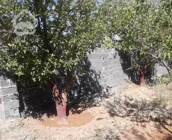 باغ 505متری جابان دماوند