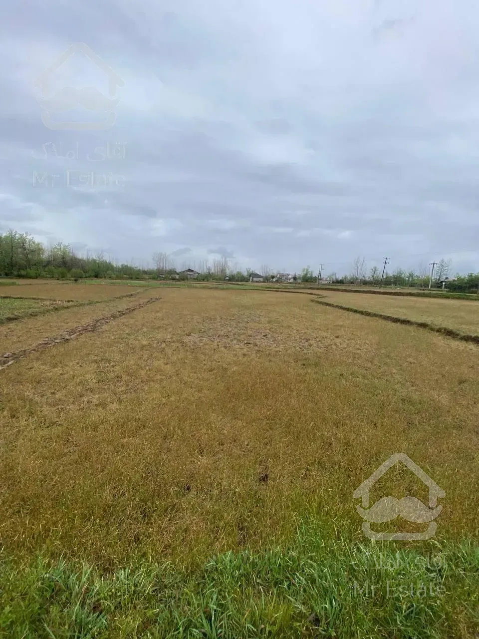 ۳۰۰۰متر زمین شالی و مسکونی در کوچصفهان