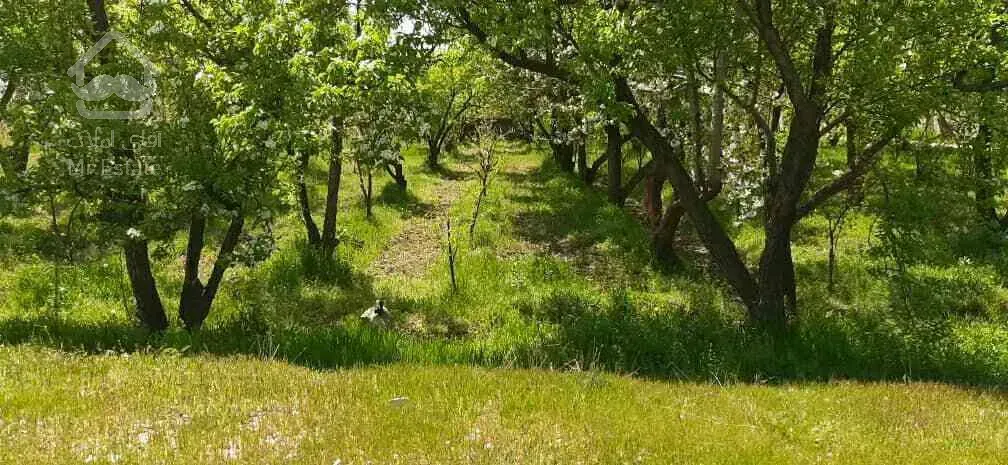 زمین در سرخاب ، قاسم آباد آقا