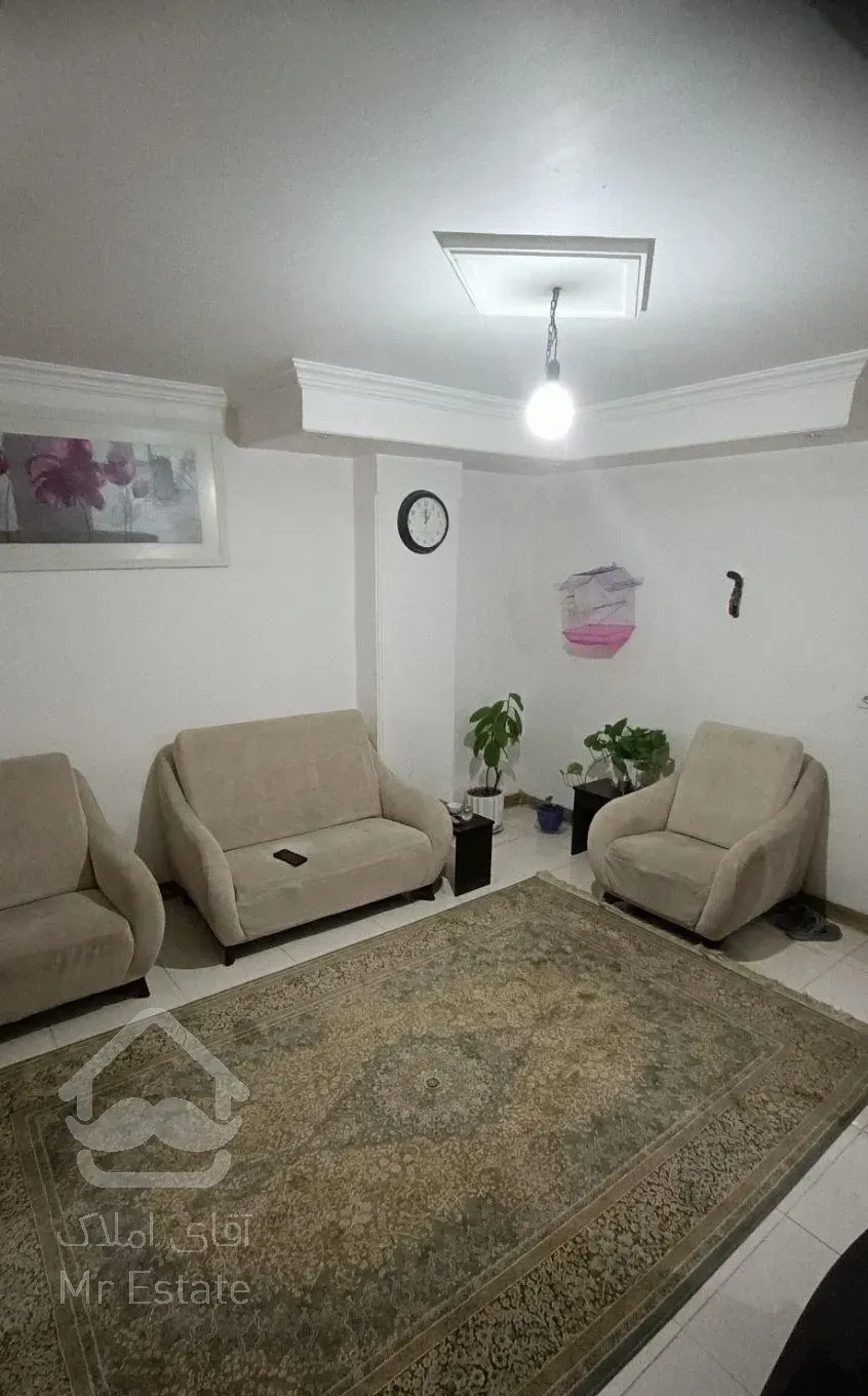 نقلی خوش نقشه