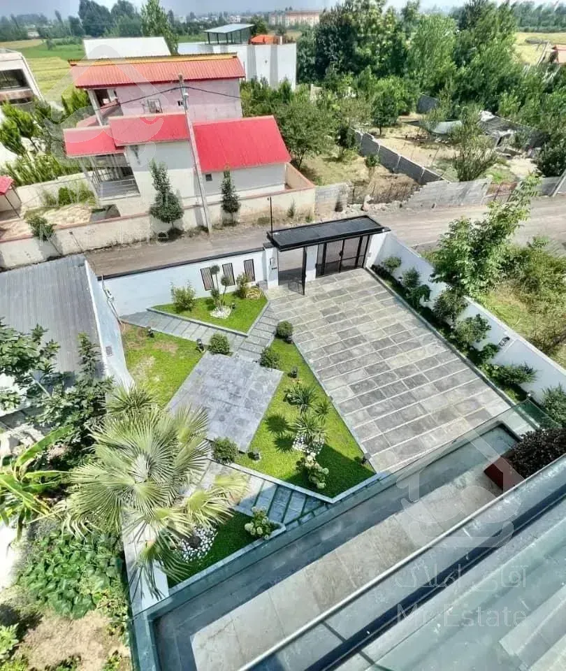 مدرن و  سند تک برگ در چمستان