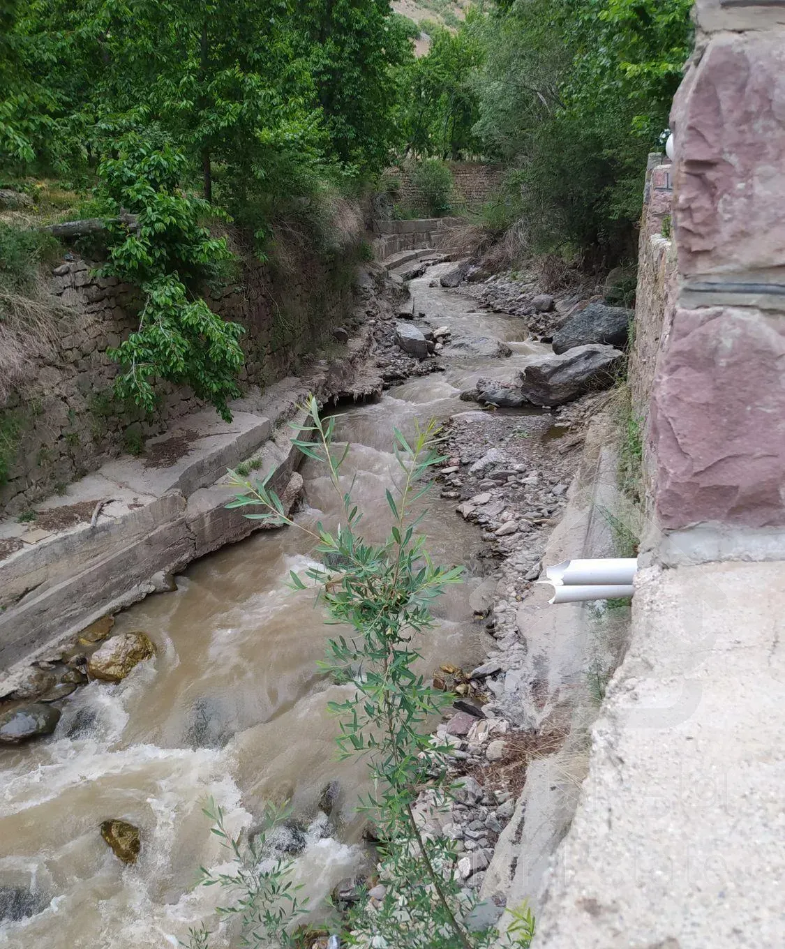 باغ ویلا فشم