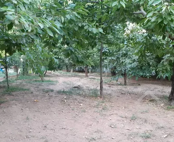 باغچه دارای ۸۰۰متر زمین ودرختان میوه در کوهسار